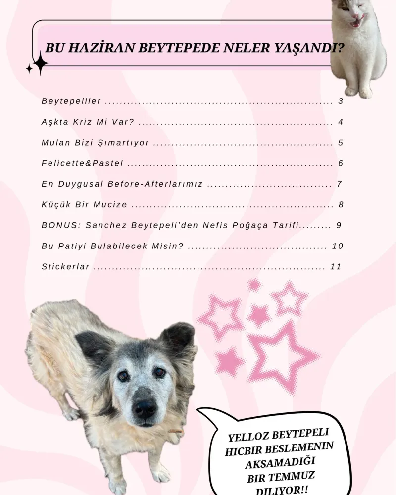 İçindekiler