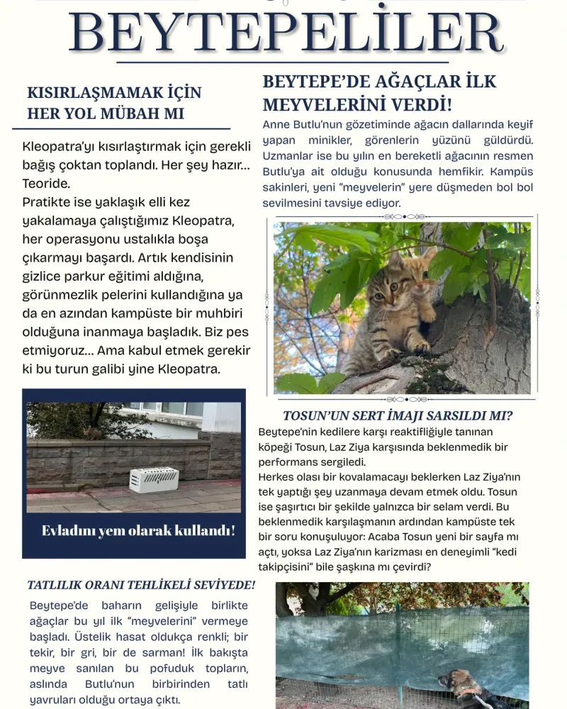 Beytepeliler: Butlu’nun yavruları, Kleopatra’nın kaçışı, Tosun ile Laz Ziya