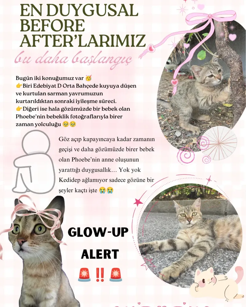 En duygusal before-after’larımız: kuyudan çıkan yavru ve anne olan Phoebe