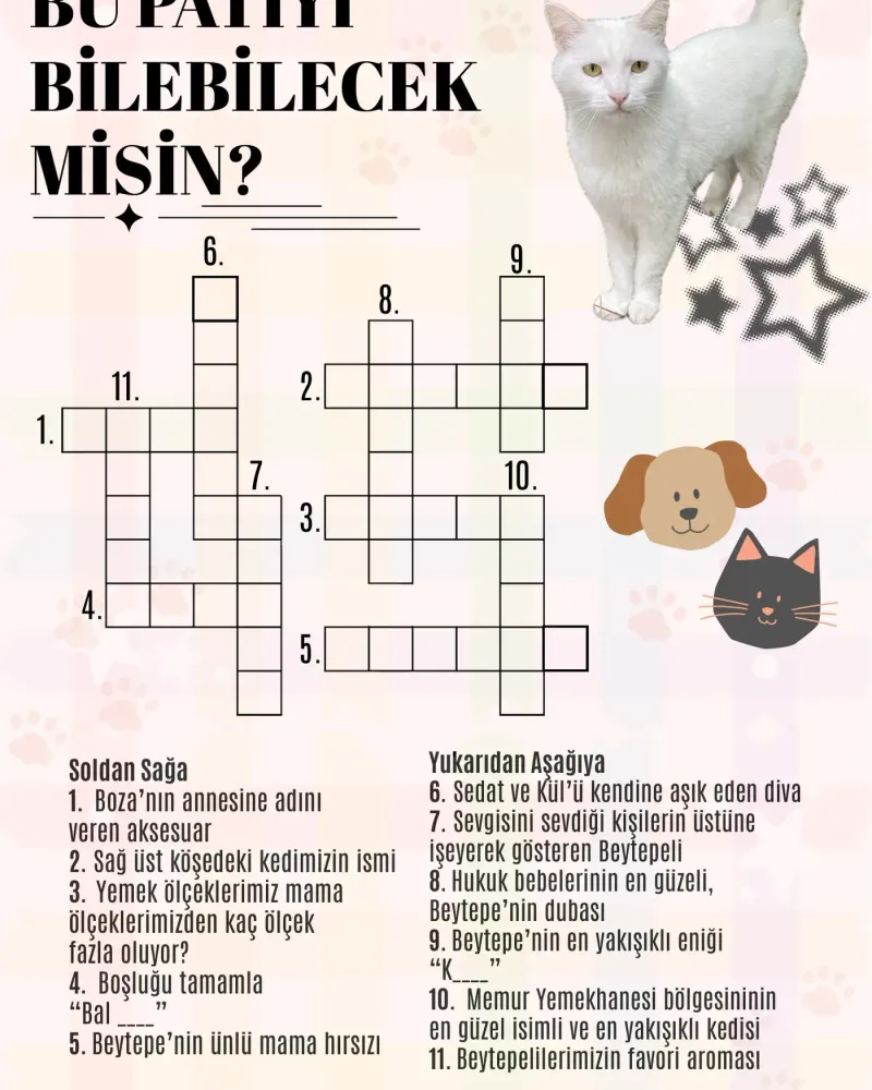 Bulmaca: Bu patiyi bilebilecek misin?