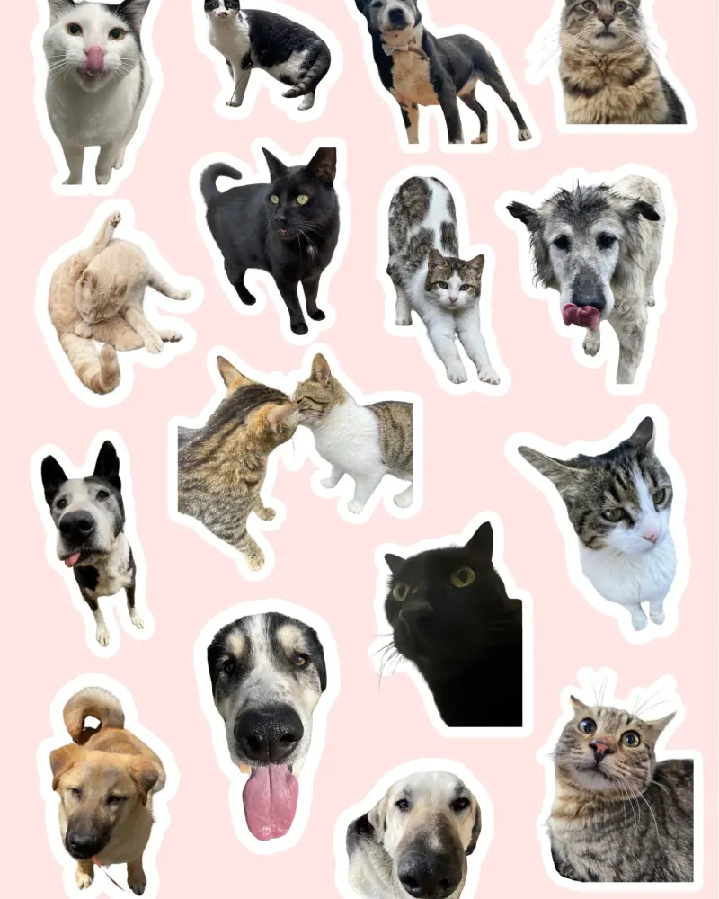Stickerlar