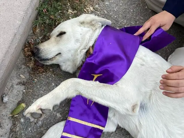 Itır sevilirken