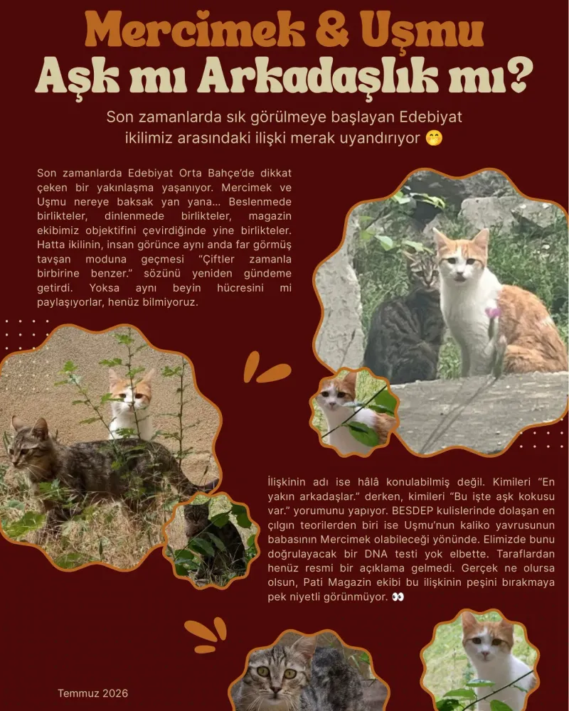 Mercimek and Uşmu: love or friendship?