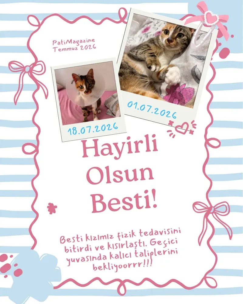 Congratulations Besti: physiotherapy done, waiting for a permanent home