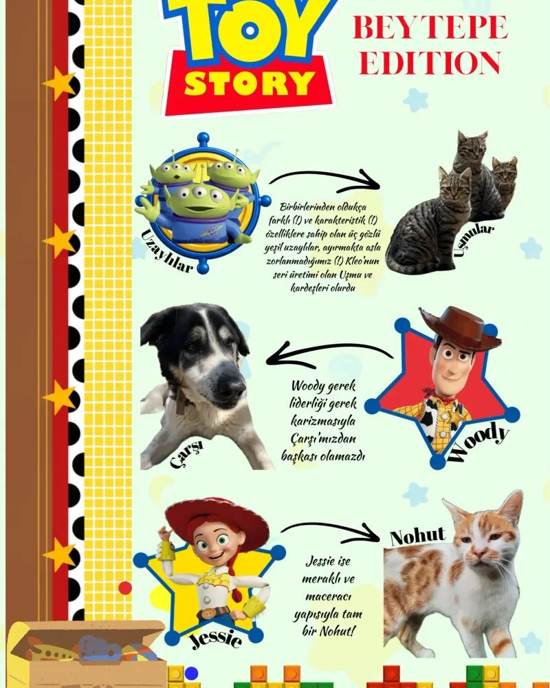 Toy Story, Beytepe edition: Çarşı, Nohut and the Uşmus