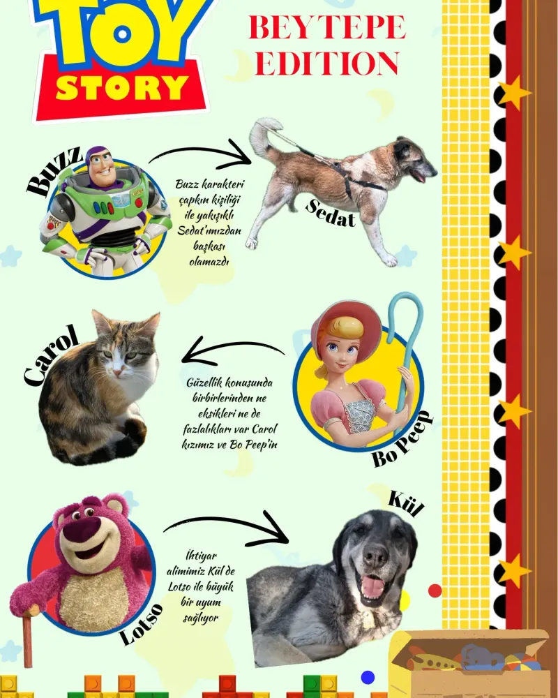 Toy Story, Beytepe edition: Sedat, Carol and Kül