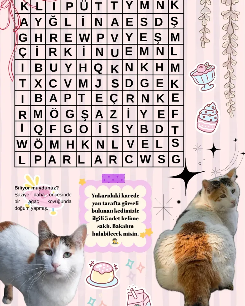 Puzzle: five words about Şaziye are hidden here