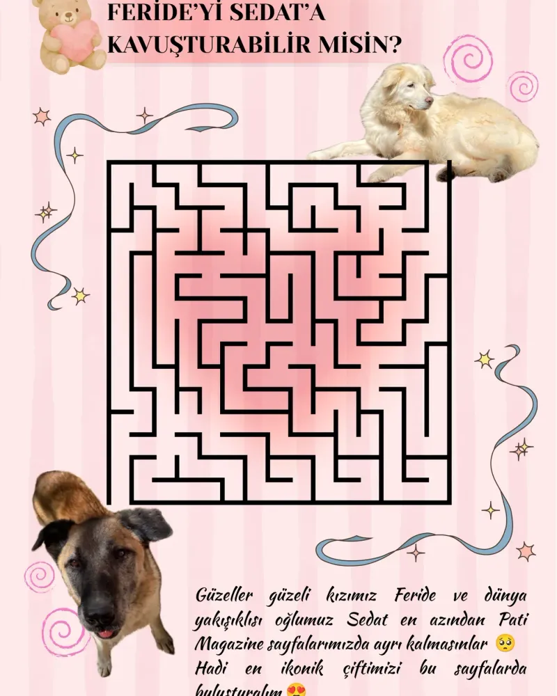 Puzzle: can you get Feride to Sedat? And last month’s answers