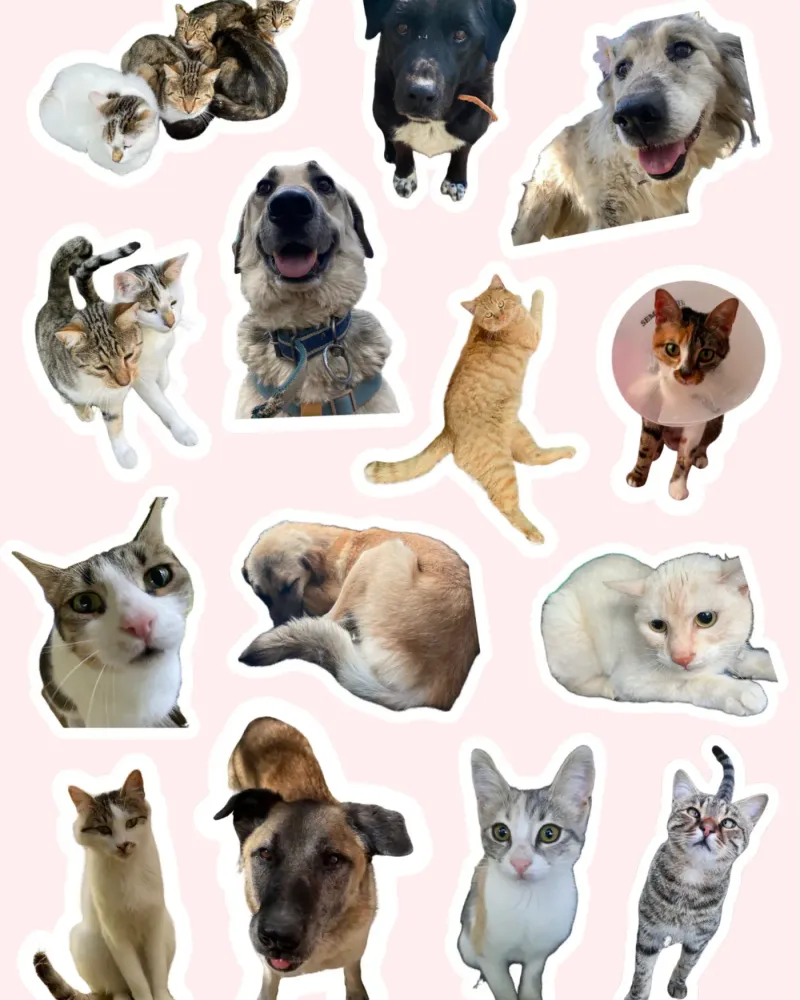 Stickers