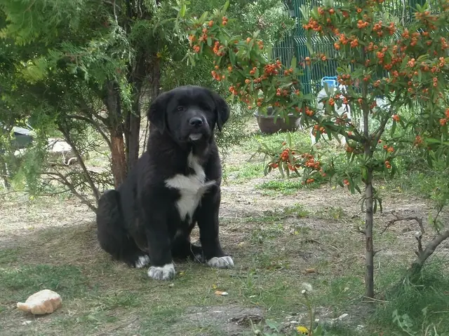 Zeyno’nun bebekliği