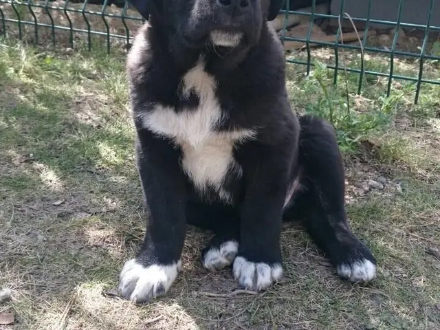 Zeyno’nun bebekliği